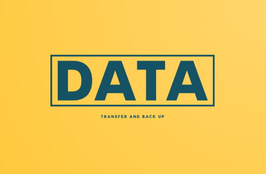 Data Transfer and Back Up Service